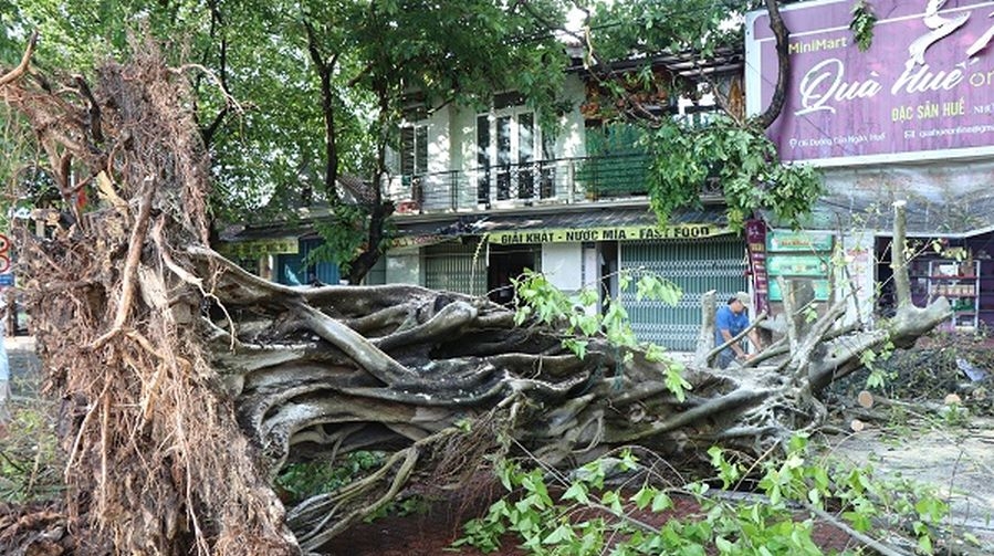 Mưa dông lớn gây hư hại nhà cửa, hệ thống điện gãy đổ