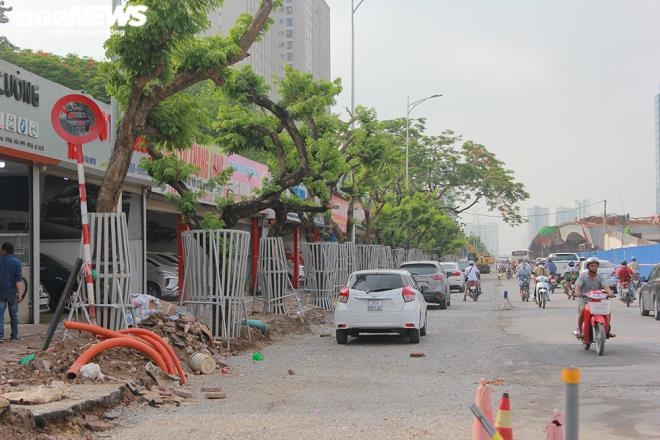 Hà Nội: “Mặc áo giáp” bảo vệ hàng cây “đắt hơn vàng”