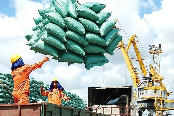 Cần làm rõ có hay không việc trục lợi trong xuất khẩu gạo?