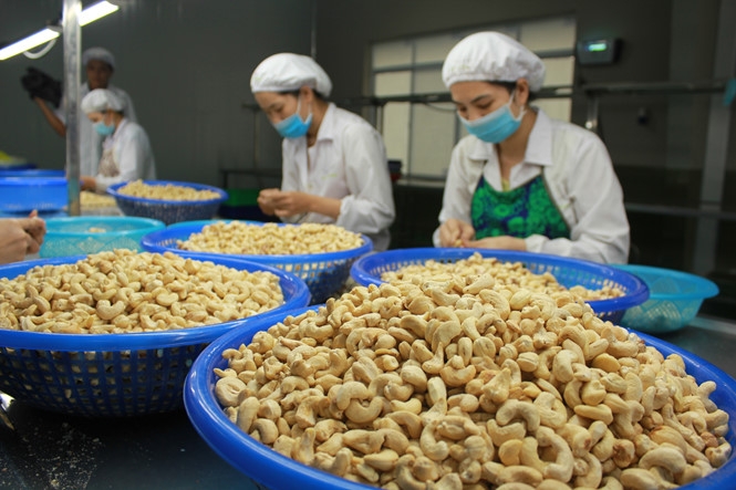 4 tháng đầu năm, xuất khẩu hạt điều đạt 960 triệu USD