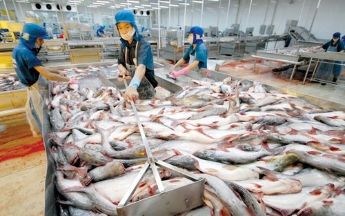 Xuất khẩu cá tra có thể sẽ phục hồi vào quý 3/2020