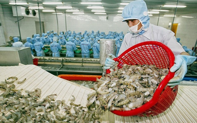 Xuất khẩu tôm sang Mỹ dự báo sẽ tăng khoảng 20% năm 2020