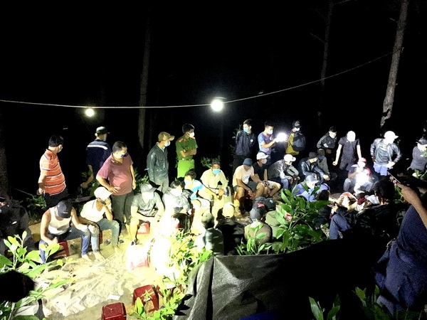 Quảng Nam triệt phá ổ đánh bạc giữa rừng phòng hộ Phú Ninh