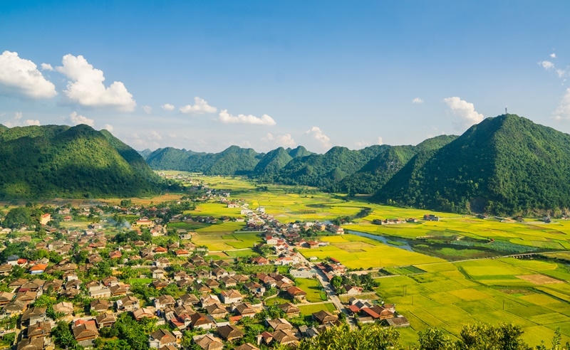 Bắc Sơn rực rỡ mùa vàng