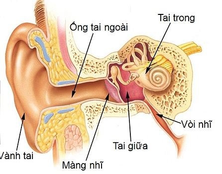 Trẻ hay bị viêm tai giữa, phải làm sao?