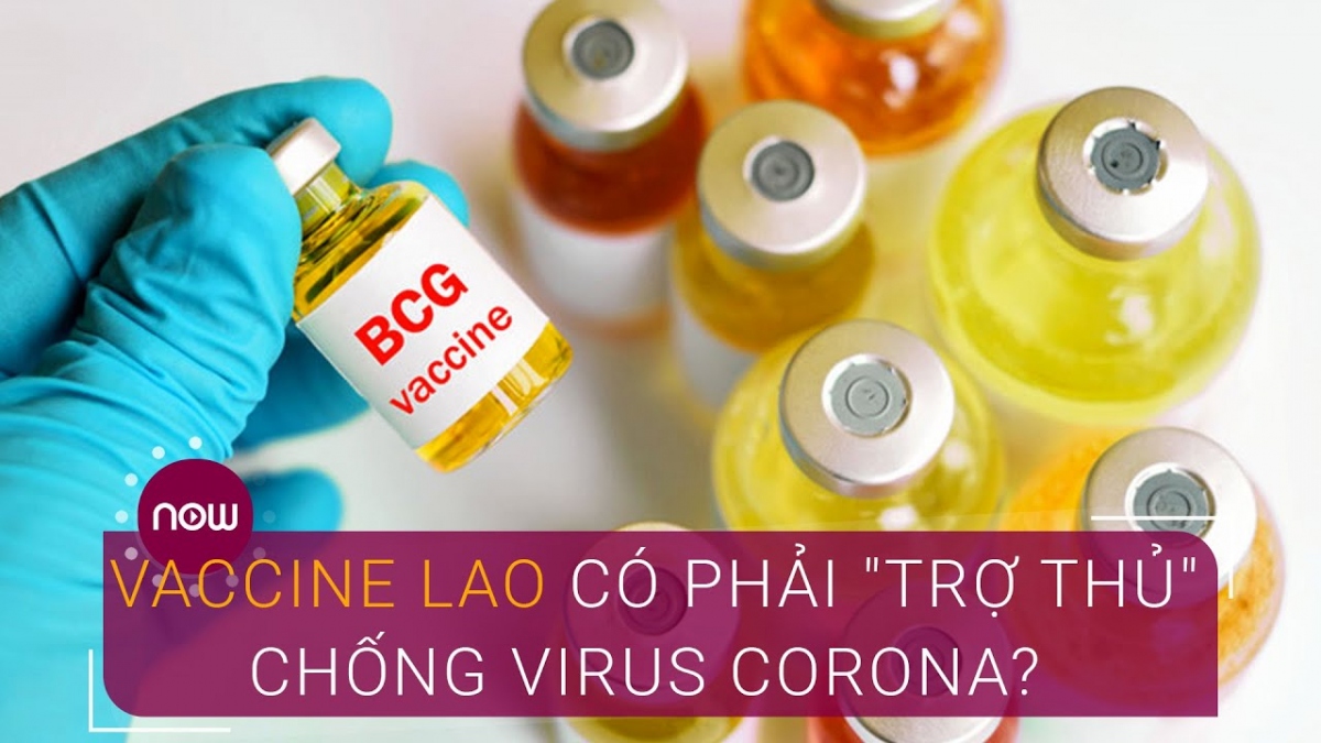 Chống virus Corona: Vaccine lao có phải “trợ thủ” hàng đầu?