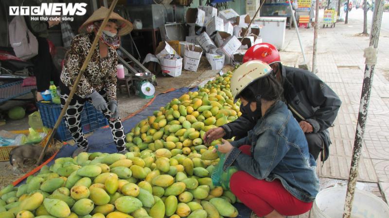 Không tiêu thụ được vì Covid-19, xoài “đổ bộ” TP.HCM chờ... giải cứu