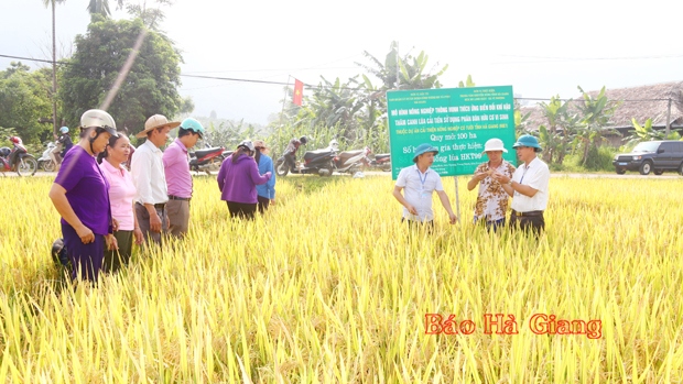 Mô hình nông nghiệp thông minh tăng chất lượng sản phẩm