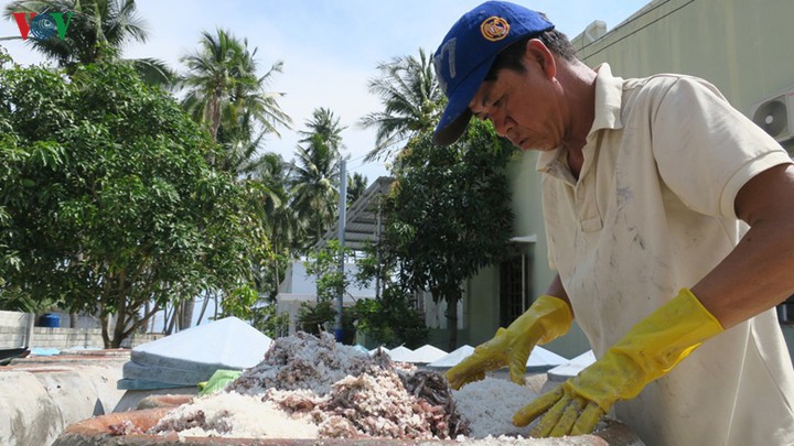 Khan hiếm nguồn cá cơm chế biến nước mắm, giá đẩy lên cao