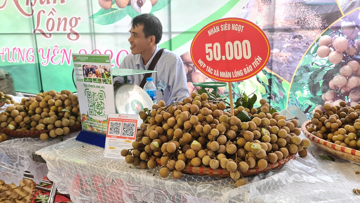 Nhãn lồng Hưng Yên giá giảm, bí đầu ra do ảnh hưởng dịch Covid-19