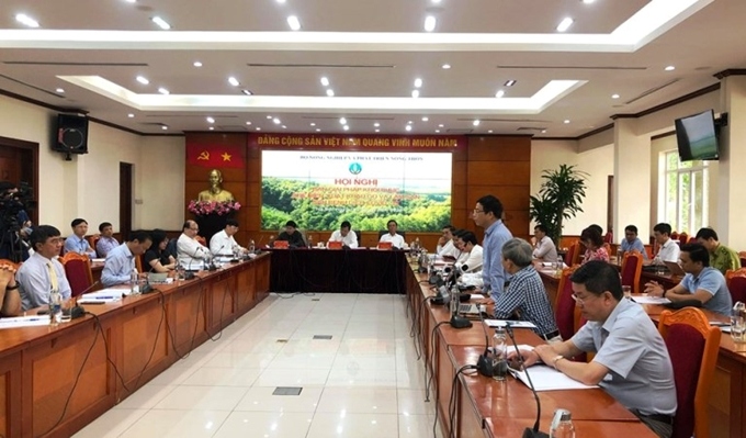Khôi phục xuất khẩu gỗ: Tận dụng tốt các cơ hội về thị trường