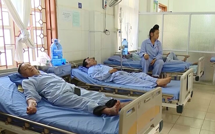 Vụ ngộ độc vì ăn bọ xít: Cần thay đổi thói quen ăn uống bừa bãi