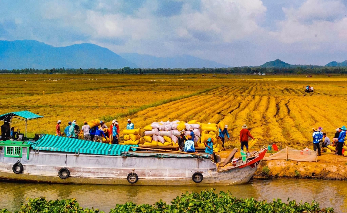 ĐBSCL chuyển đổi tư duy sản xuất nông nghiệp sang kinh tế nông nghiệp