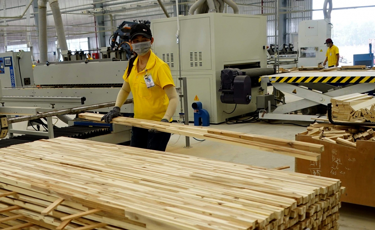 Tăng trưởng xuất khẩu của ngành gỗ Việt Nam năm 2020 có thể bằng 0%