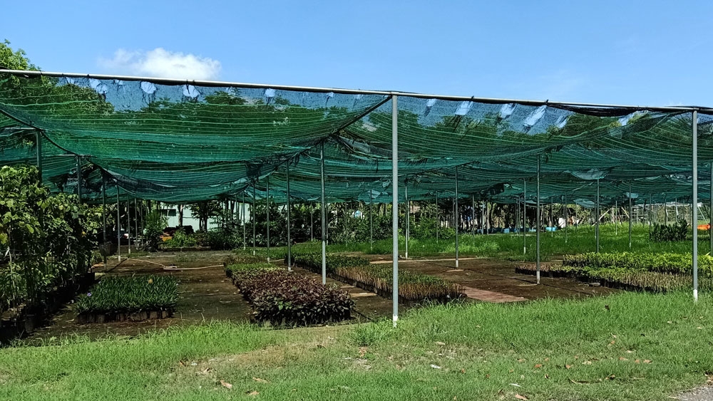 Cần siết quản lý để chặn đầu cơ, bỏ hoang đất