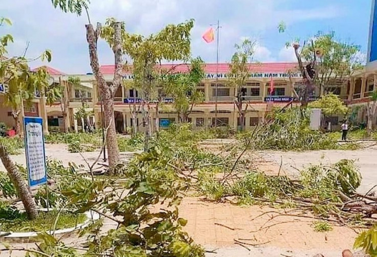 Đốn hạ hàng loạt cây phượng, phụ huynh lo ngại mảng xanh trong trường