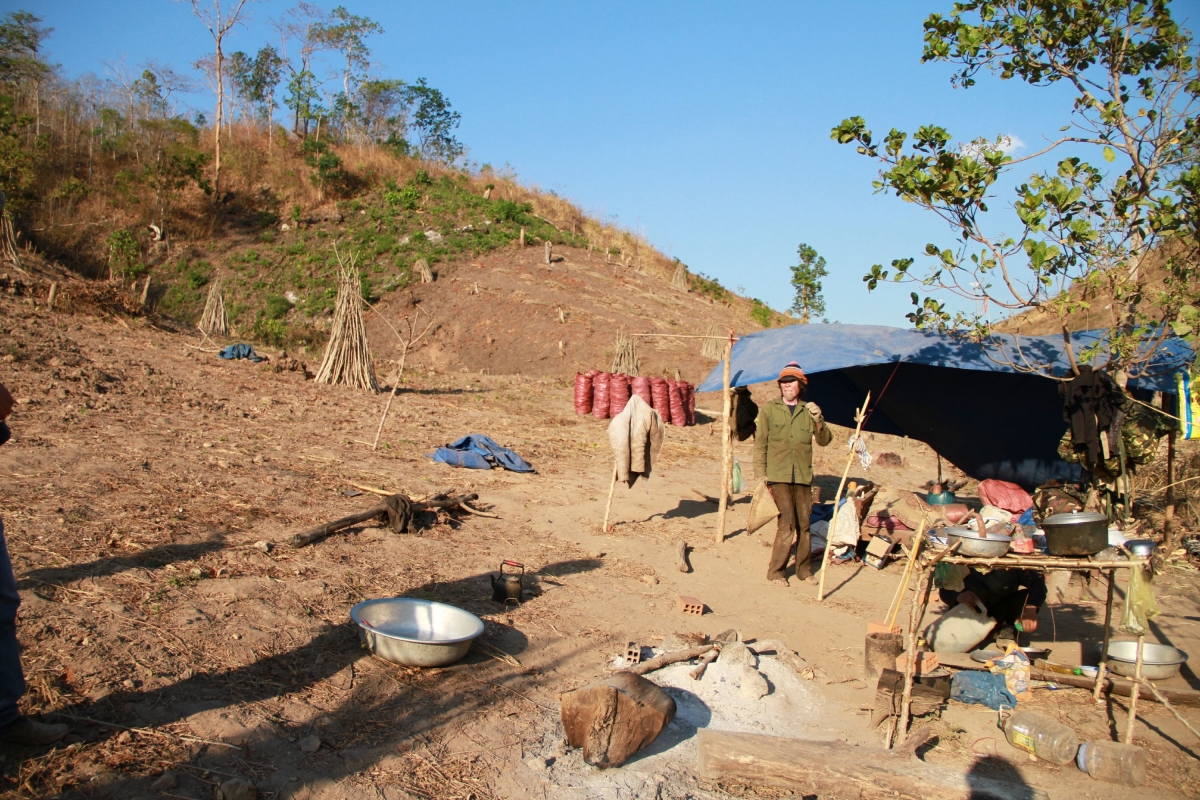 Bài toán khó cho 345.000 ha đất lâm nghiệp và 150.000 hộ dân ở Tây Nguyên