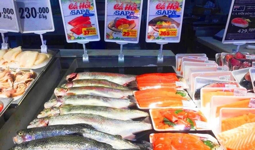Không có chuyện phải “giải cứu” cá hồi Sa Pa