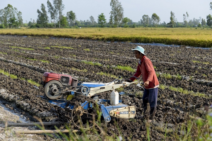Cần sớm sửa đổi Luật thuế 71 để "cởi trói" cho ngành sản xuất phân bón