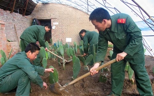 Mỹ trừng phạt thêm đại công ty của Trung Quốc liên quan đến Tân Cương
