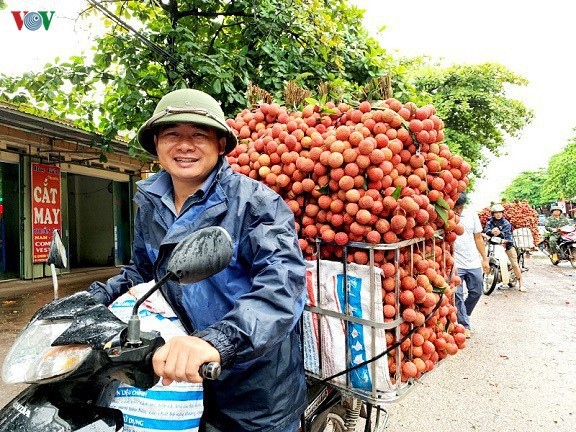 Bắc Giang đảm bảo sản lượng và giá trị vải thiều xuất khẩu