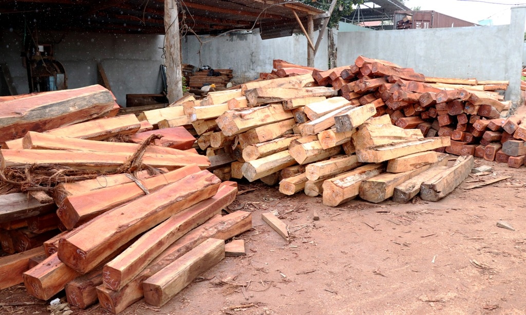 Phát hiện vụ vận chuyển, tàng trữ hãng chục khối gỗ chưa rõ nguồn gốc