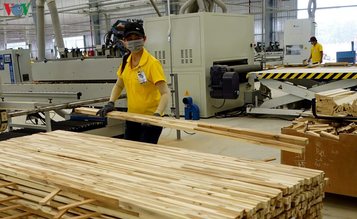 Giấy phép gỗ hợp pháp-hiện thực hóa con đường vào thị trường EU