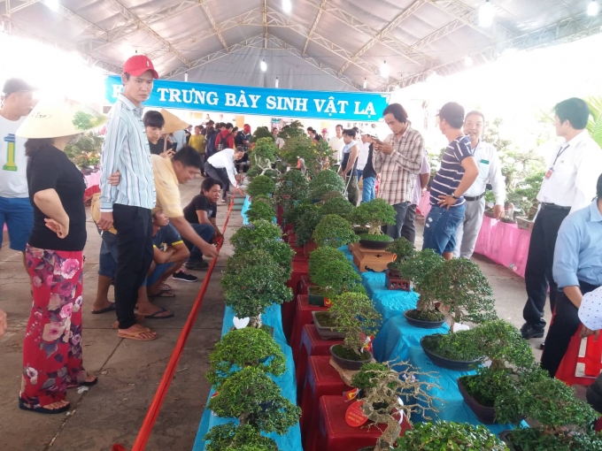 Bến Tre dừng tổ chức lễ hội truyền thống “Cây trái ngon- an toàn 2020”