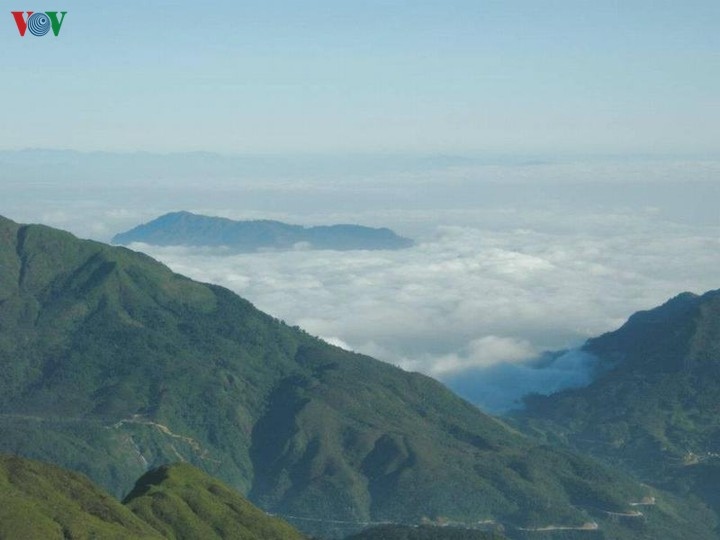 Chiêm ngưỡng vẻ đẹp mờ ảo trên đỉnh Ô Quy Hồ