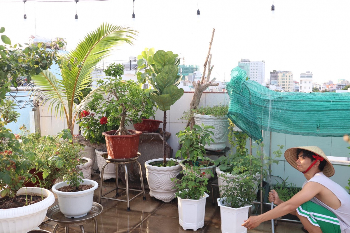 Phan Hiển chi cả trăm triệu cải tạo sân thượng thành vườn hồng tặng vợ