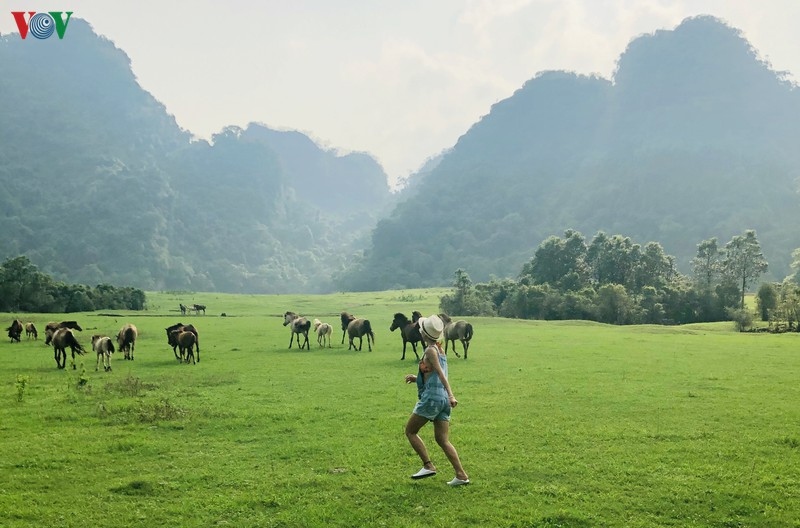 Khám phá thảo nguyên Đồng Lâm - nơi giải nhiệt lý tưởng cho mùa hè