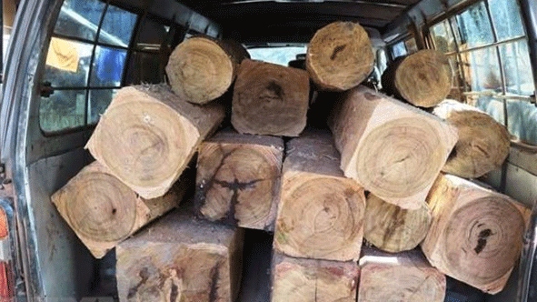 Lâm tặc lao xe chở gỗ lậu vào lực lượng chức năng để bỏ trốn