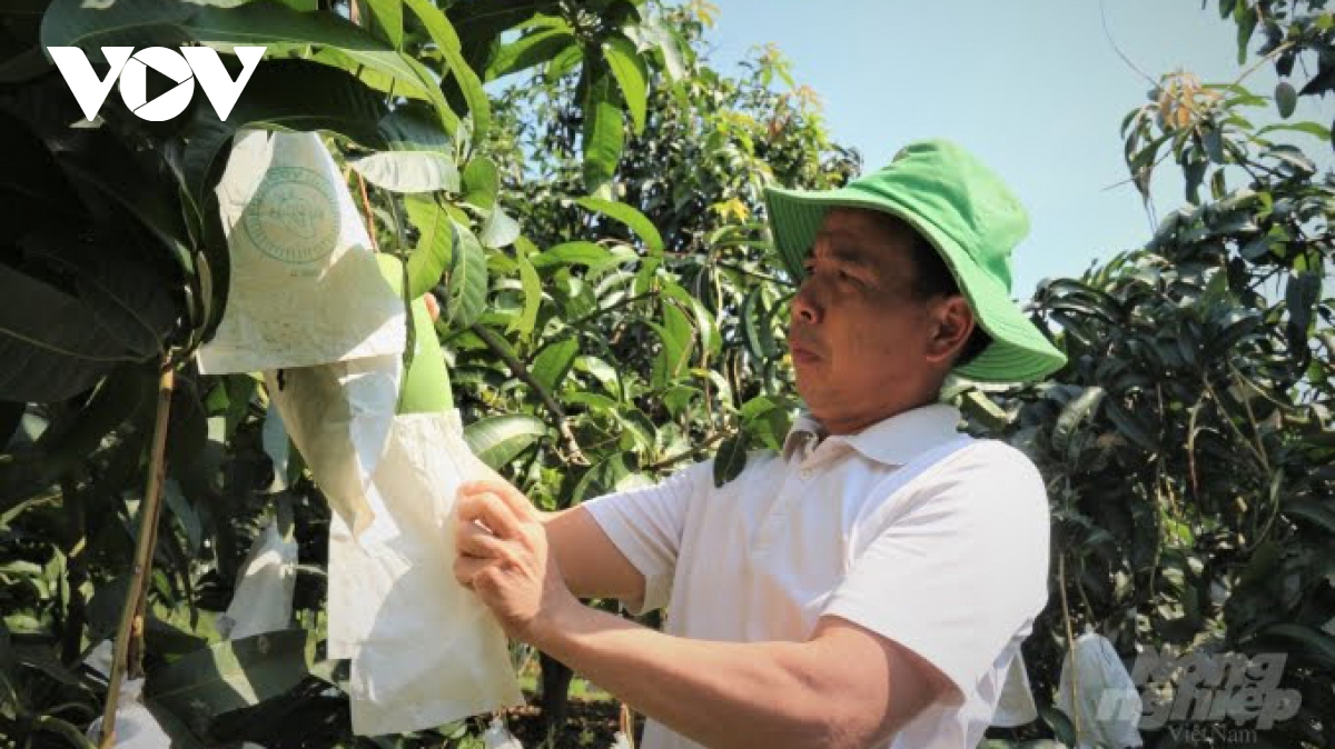 nông sản sơn la vươn xa, đón lợi thế từ hiệp định evfta hình ảnh 1 nong san son la vuon xa, don loi the tu hiep dinh evfta hinh anh 1