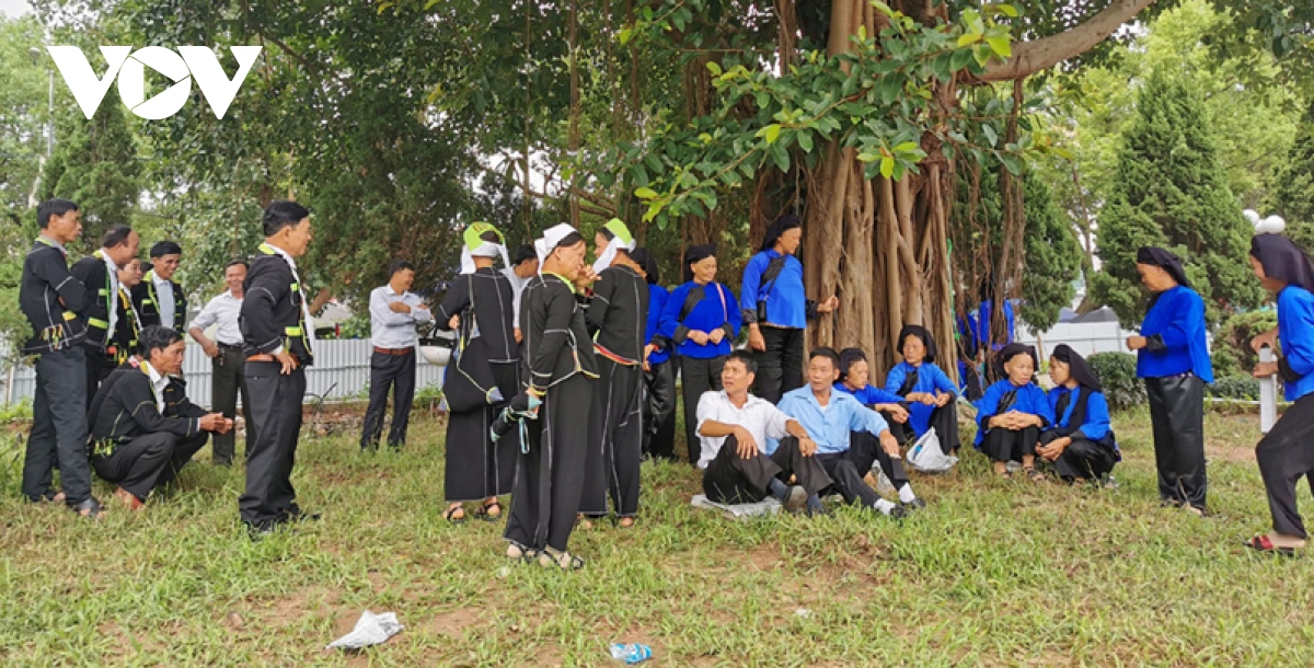 hoi hang pinh dip trang ram cua nguoi tay - nung hinh anh 3