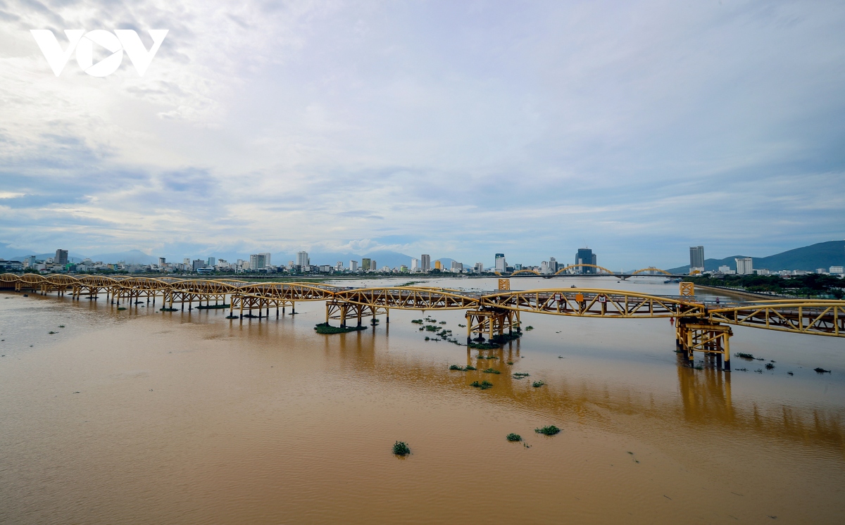 Doc dao cay cau lau doi nhat tren song han nang ha nhip hinh anh 16