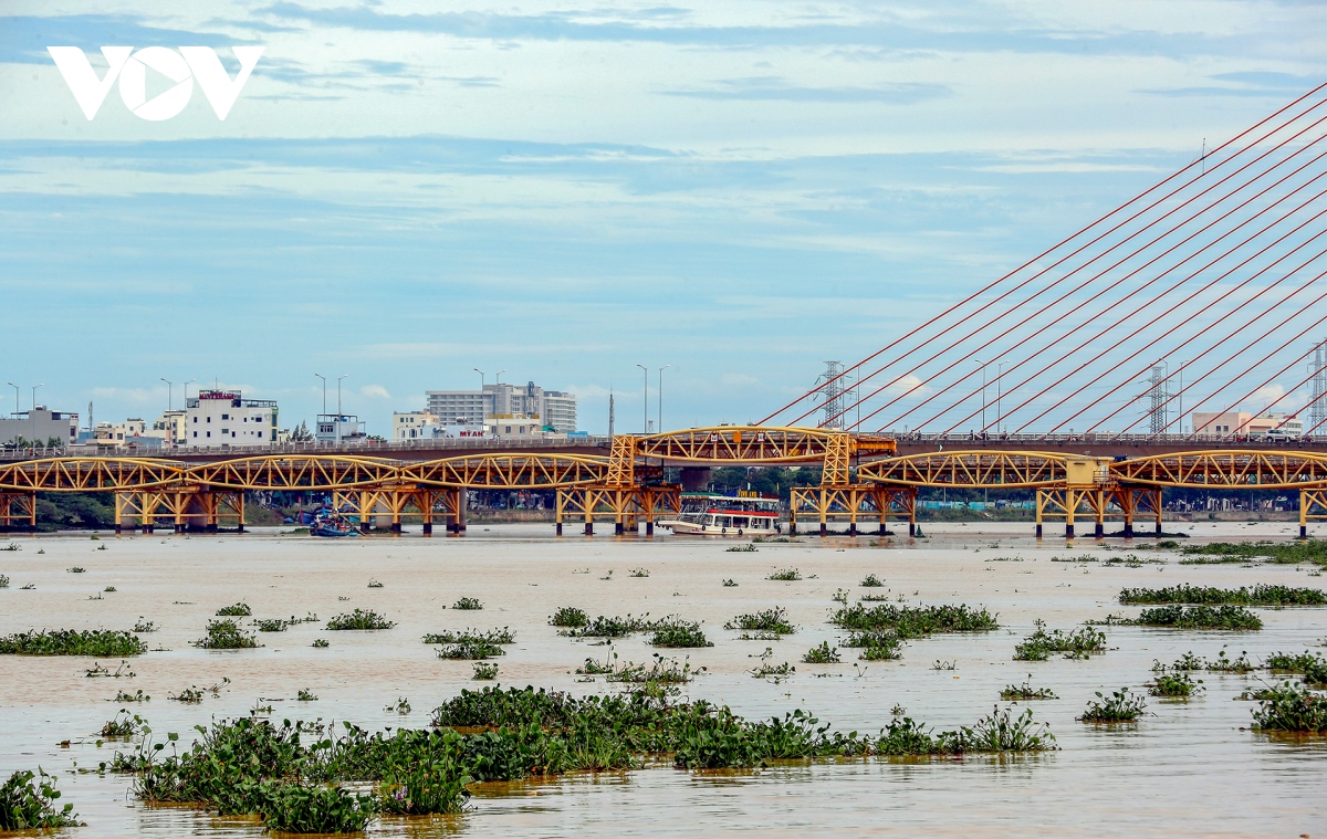 Doc dao cay cau lau doi nhat tren song han nang ha nhip hinh anh 18