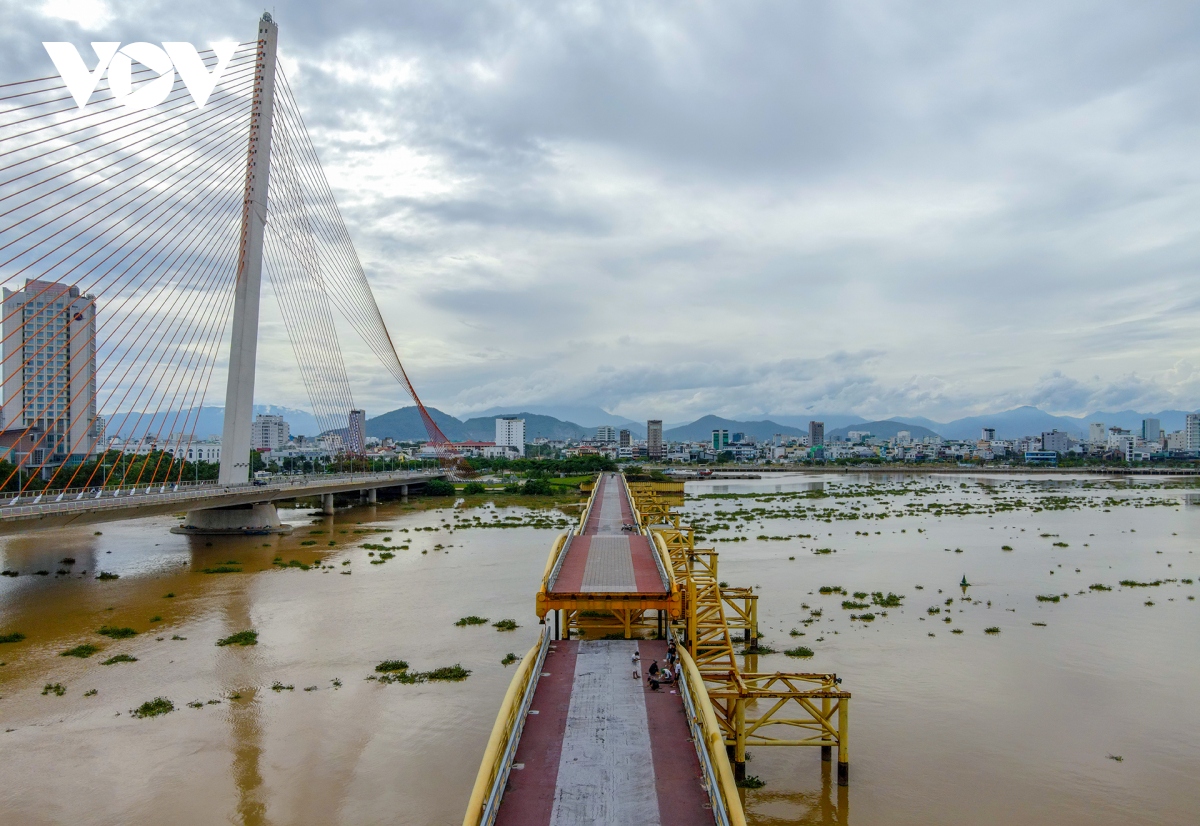 Doc dao cay cau lau doi nhat tren song han nang ha nhip hinh anh 19