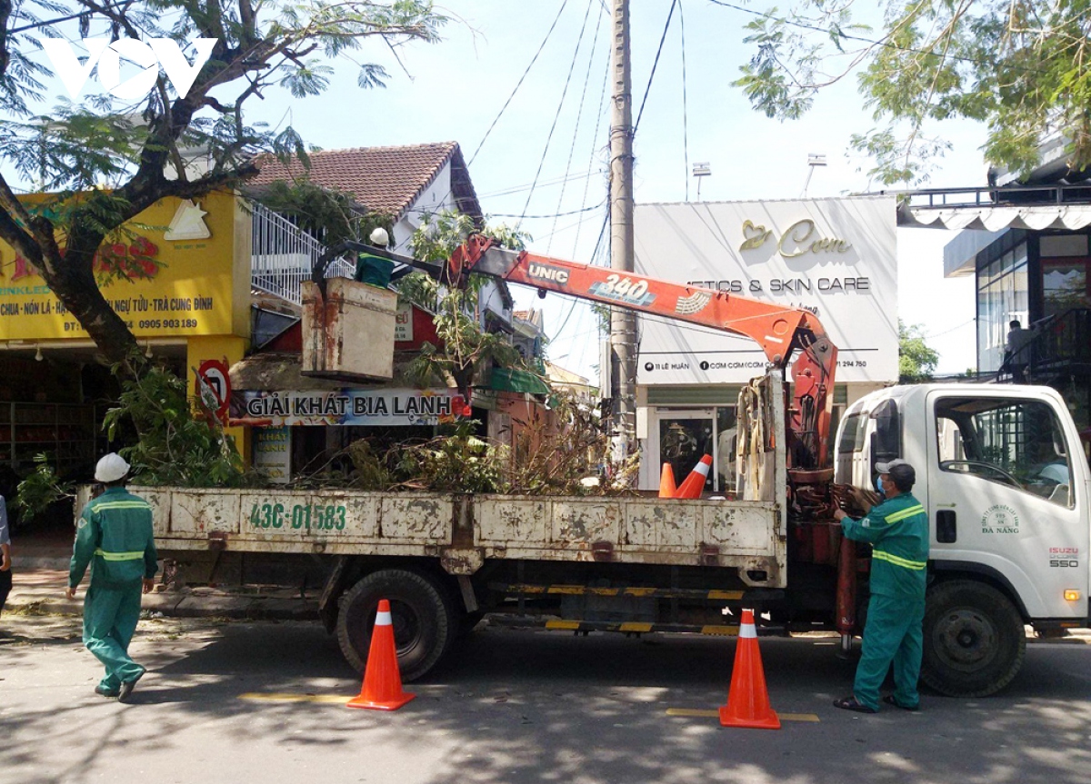 hang chuc cong nhan bac cao giup hue khac phuc he thong cay xanh sau bao so 5 hinh anh 1