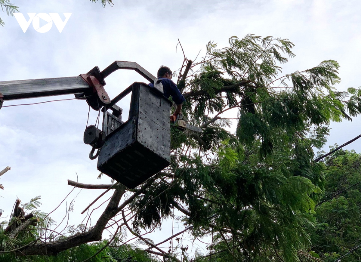 hang chuc cong nhan bac cao giup hue khac phuc he thong cay xanh sau bao so 5 hinh anh 3