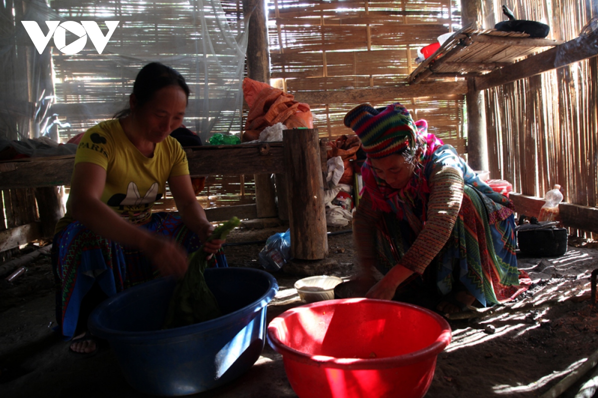 ban lang vung cao lai chau hung sang nho cay cao su hinh anh 10