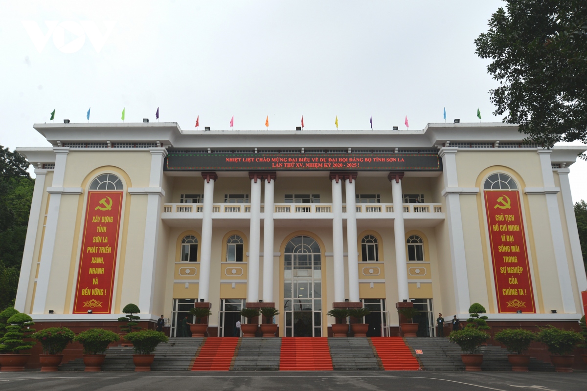 Dai bieu du Dai hoi Dang bo tinh son la han hoan trong ngay hoi lon hinh anh 3