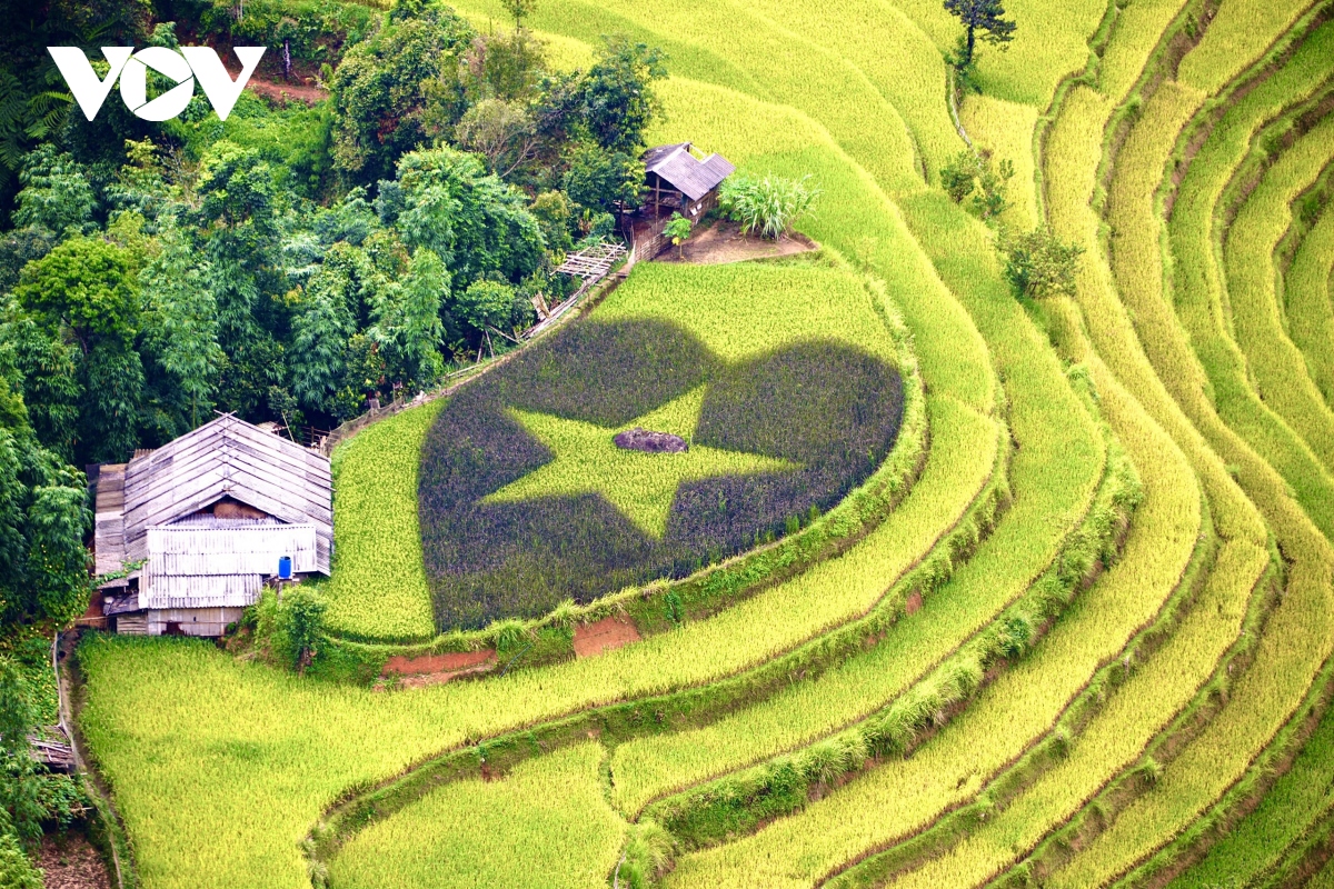 Anh mua vang o hoang su phi hinh anh 20