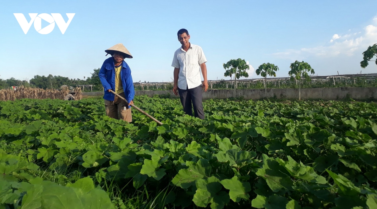 Liên kết sản xuất thực phẩm sạch đang chứng tỏ lợi thế