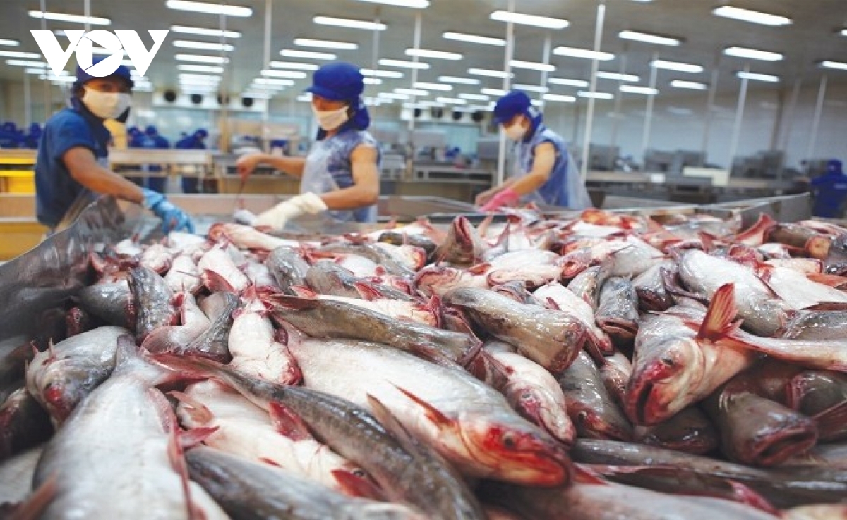 Tra fish exporters pin high hopes on EVFTA