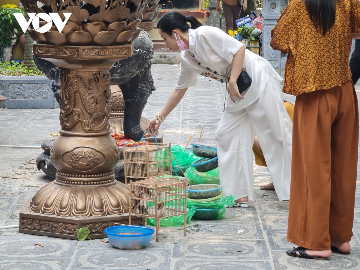 chua chien o ha noi vang ve, lac dac nguoi dan di le trong ngay ram thang 7 hinh anh 12