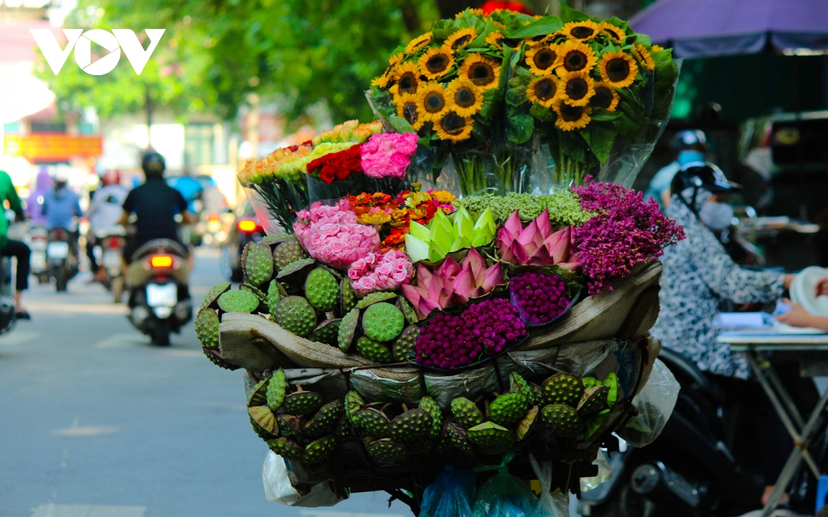 nhung dac san kho quen cua mua thu ha noi hinh anh 14