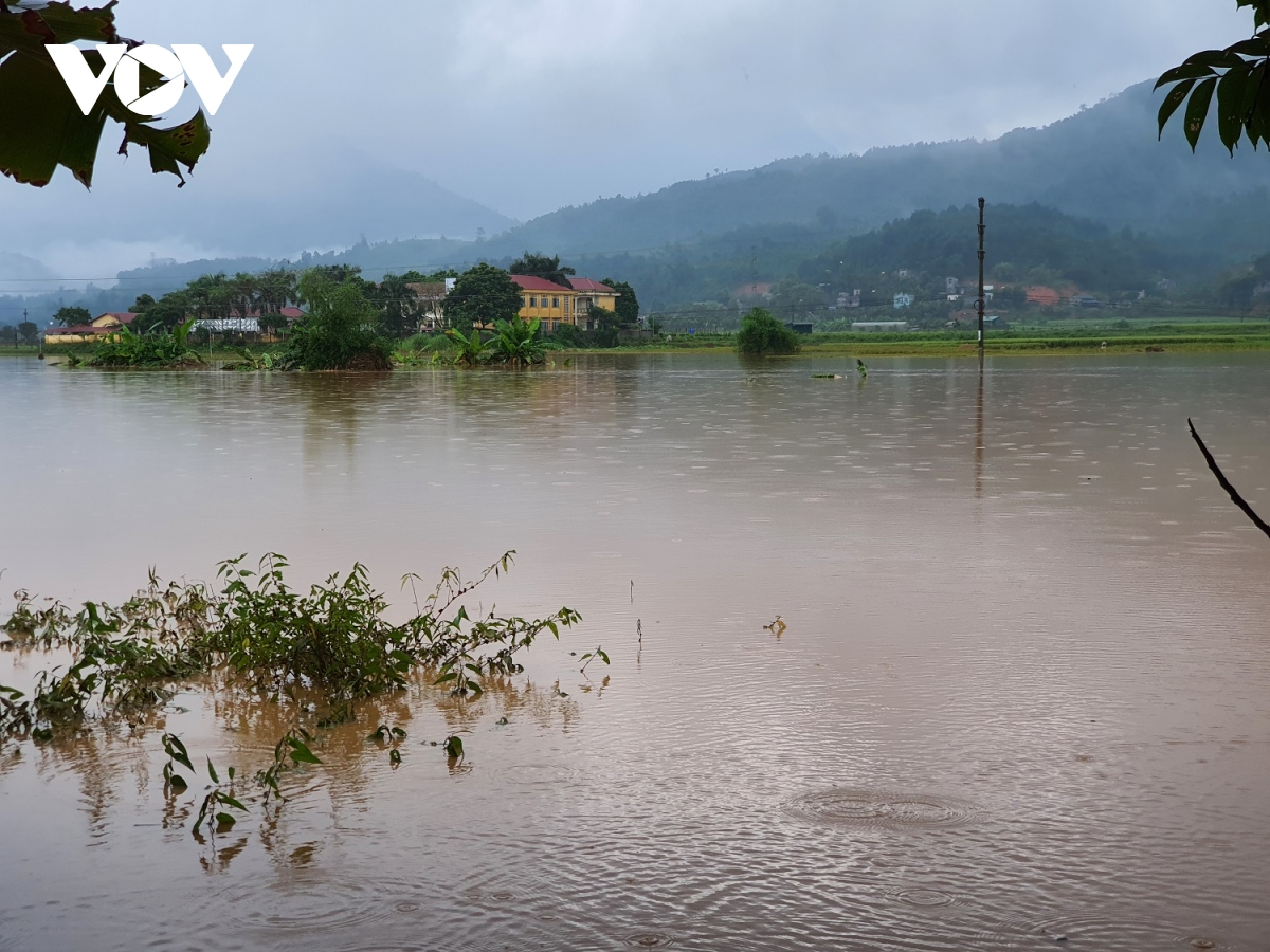 mua lu tai lao cai lam mot chau be tu vong, nhieu noi tren dia ban ngap lut, sat lo dat hinh anh 7