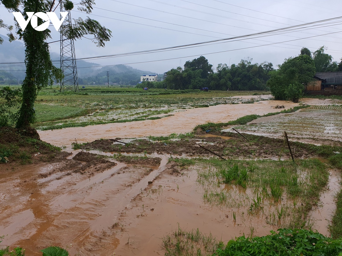 mua lu tai lao cai lam mot chau be tu vong, nhieu noi tren dia ban ngap lut, sat lo dat hinh anh 11