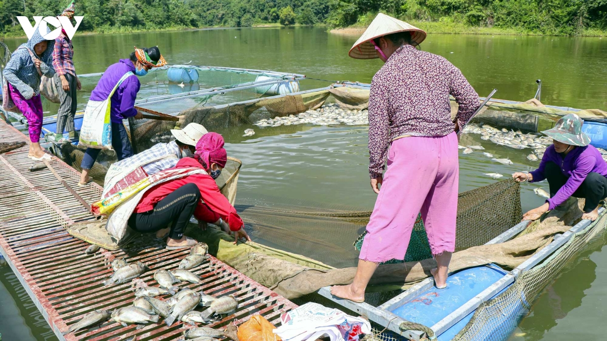 gan 80 tan ca long chet noi trang tren ho hong khenh, Dien bien hinh anh 4