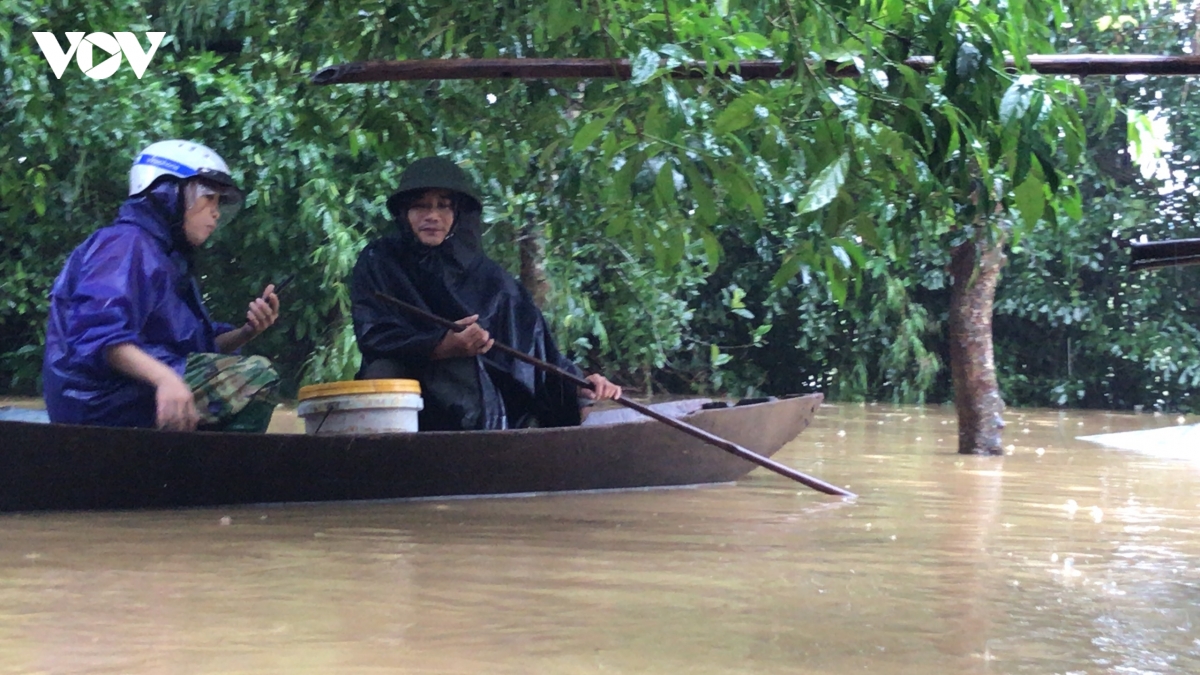 O to, gia suc leo len de tranh lu hinh anh 10